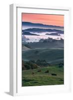 Spring Hills With Fog Petaluma Sonoma California-Vincent James-Framed Photographic Print