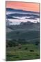 Spring Hills With Fog Petaluma Sonoma California-Vincent James-Mounted Photographic Print