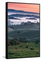 Spring Hills With Fog Petaluma Sonoma California-Vincent James-Framed Stretched Canvas