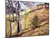 Spring Hillside-George Gardner Symons-Mounted Giclee Print