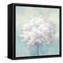 Spring Hope-Julia Purinton-Framed Stretched Canvas