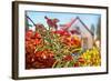 Spring House-araraadt-Framed Photographic Print