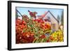 Spring House-araraadt-Framed Photographic Print