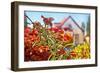 Spring House-araraadt-Framed Photographic Print