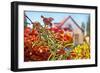 Spring House-araraadt-Framed Photographic Print