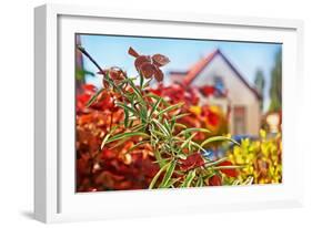 Spring House-araraadt-Framed Photographic Print