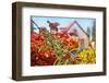 Spring House-araraadt-Framed Photographic Print