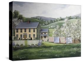 Spring House-Debbi Wetzel-Stretched Canvas