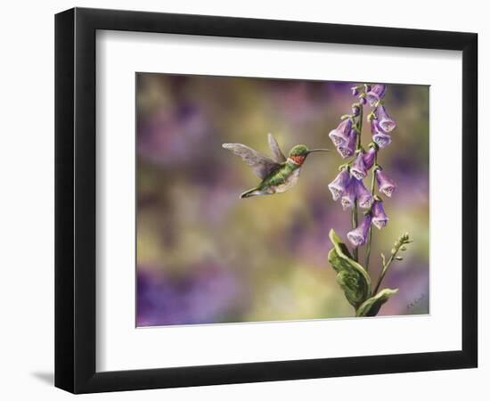 Spring Hummingbird-Sarah Davis-Framed Giclee Print