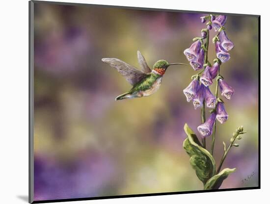 Spring Hummingbird-Sarah Davis-Mounted Giclee Print