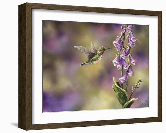 Spring Hummingbird-Sarah Davis-Framed Giclee Print