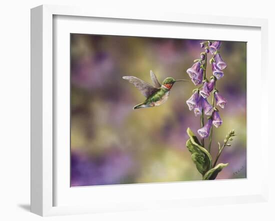 Spring Hummingbird-Sarah Davis-Framed Giclee Print