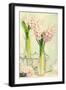 Spring Hyacinth Flowers in Vintage Glass Bottles-Amd Images-Framed Photographic Print