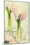 Spring Hyacinth Flowers in Vintage Glass Bottles-Amd Images-Mounted Photographic Print