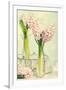 Spring Hyacinth Flowers in Vintage Glass Bottles-Amd Images-Framed Photographic Print