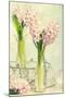 Spring Hyacinth Flowers in Vintage Glass Bottles-Amd Images-Mounted Photographic Print