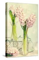 Spring Hyacinth Flowers in Vintage Glass Bottles-Amd Images-Stretched Canvas