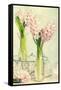 Spring Hyacinth Flowers in Vintage Glass Bottles-Amd Images-Framed Stretched Canvas