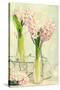 Spring Hyacinth Flowers in Vintage Glass Bottles-Amd Images-Stretched Canvas