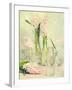 Spring Hyacinths with Focus-Amd Images-Framed Photographic Print