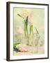 Spring Hyacinths with Focus-Amd Images-Framed Photographic Print