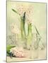 Spring Hyacinths with Focus-Amd Images-Mounted Photographic Print