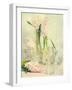 Spring Hyacinths with Focus-Amd Images-Framed Photographic Print