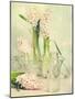 Spring Hyacinths with Focus-Amd Images-Mounted Photographic Print