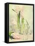 Spring Hyacinths with Focus-Amd Images-Framed Stretched Canvas