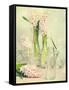 Spring Hyacinths with Focus-Amd Images-Framed Stretched Canvas