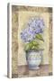 Spring Hydrangea-Abby White-Stretched Canvas