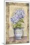 Spring Hydrangea-Abby White-Mounted Art Print