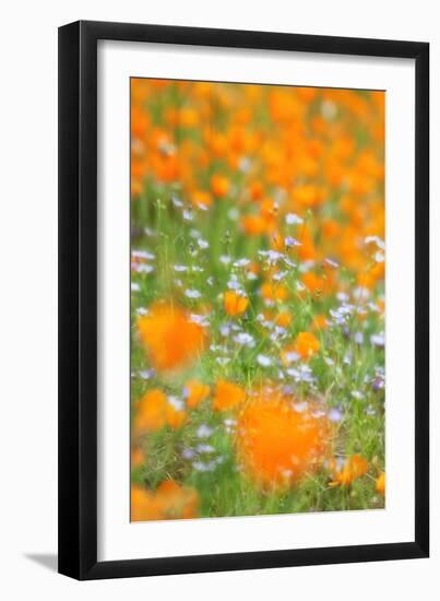 Spring Impressions, Merced River Canyon-Vincent James-Framed Photographic Print