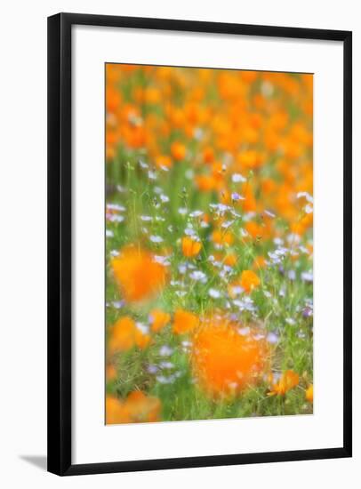 Spring Impressions, Merced River Canyon-Vincent James-Framed Photographic Print