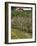 Spring in Apple Orchard, Lublin Upland, Malopolska-Walter Bibikow-Framed Photographic Print