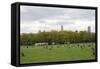 Spring in Central Park-Erin Berzel-Framed Stretched Canvas