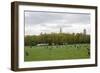 Spring in Central Park-Erin Berzel-Framed Photographic Print