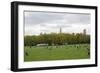 Spring in Central Park-Erin Berzel-Framed Photographic Print