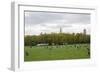 Spring in Central Park-Erin Berzel-Framed Photographic Print