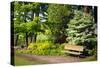 Spring in Crystal Springs Rhododendron Garden, Portland, Oregon, USA-Craig Tuttle-Stretched Canvas