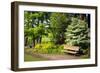 Spring in Crystal Springs Rhododendron Garden, Portland, Oregon, USA-Craig Tuttle-Framed Photographic Print