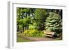 Spring in Crystal Springs Rhododendron Garden, Portland, Oregon, USA-Craig Tuttle-Framed Photographic Print