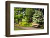 Spring in Crystal Springs Rhododendron Garden, Portland, Oregon, USA-Craig Tuttle-Framed Photographic Print