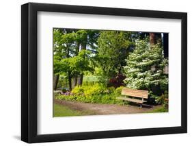 Spring in Crystal Springs Rhododendron Garden, Portland, Oregon, USA-Craig Tuttle-Framed Photographic Print