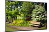 Spring in Crystal Springs Rhododendron Garden, Portland, Oregon, USA-Craig Tuttle-Mounted Photographic Print