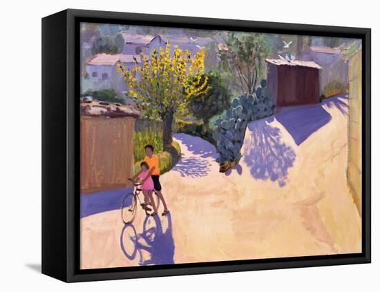 Spring in Cyprus, 1996-Andrew Macara-Framed Stretched Canvas