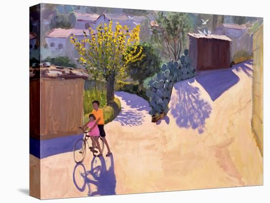 Spring in Cyprus, 1996-Andrew Macara-Stretched Canvas