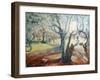 Spring in Darley Park-Mary Smith-Framed Giclee Print