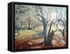 Spring in Darley Park-Mary Smith-Framed Stretched Canvas