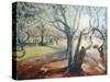 Spring in Darley Park-Mary Smith-Stretched Canvas